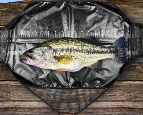 Сфотографированный рыболовный  – обзор и цена Fishing Belt